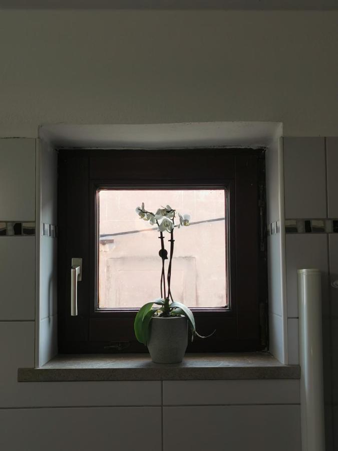 Istrian Old Town Apartment コペル エクステリア 写真